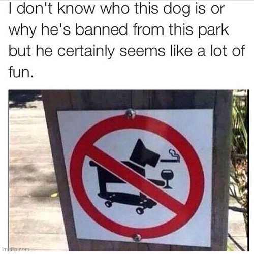 image tagged in skateboarding,dog,dont smoke | made w/ Imgflip meme maker