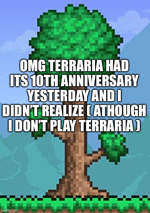 OMG TERRARIA HAD ITS 10TH ANNIVERSARY YESTERDAY AND I DIDN’T REALIZE ( ATHOUGH I DON’T PLAY TERRARIA ) | image tagged in terraria | made w/ Imgflip meme maker