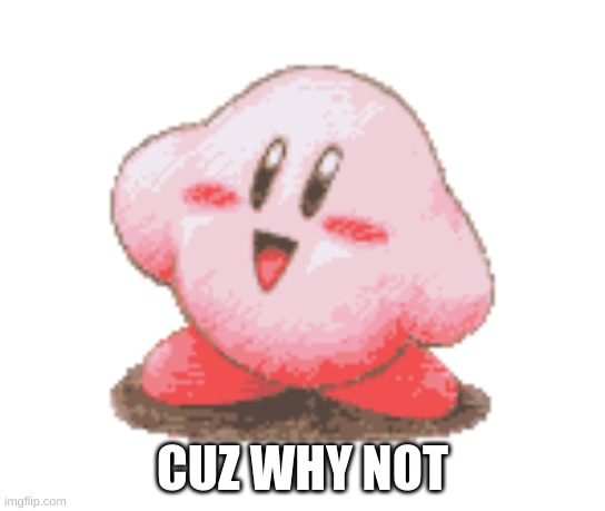 Kirby | CUZ WHY NOT | image tagged in kirby | made w/ Imgflip meme maker