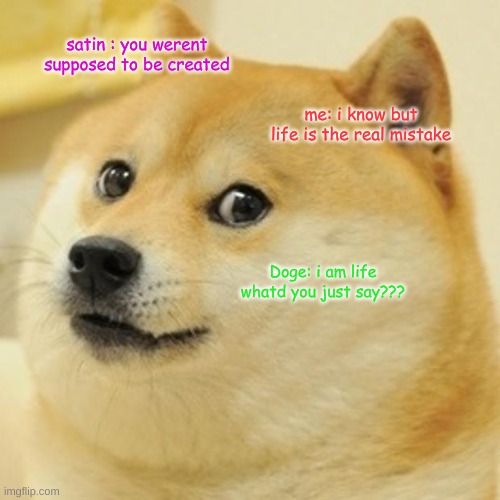 dogey boy | satin : you werent supposed to be created; me: i know but life is the real mistake; Doge: i am life whatd you just say??? | image tagged in memes,doge | made w/ Imgflip meme maker
