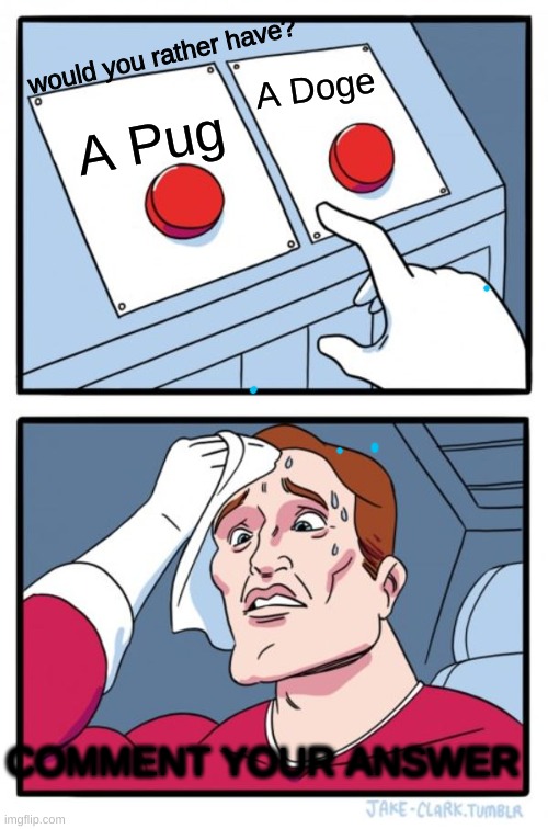 Two Buttons Meme | would you rather have? A Doge; A Pug; COMMENT YOUR ANSWER | image tagged in memes,two buttons | made w/ Imgflip meme maker