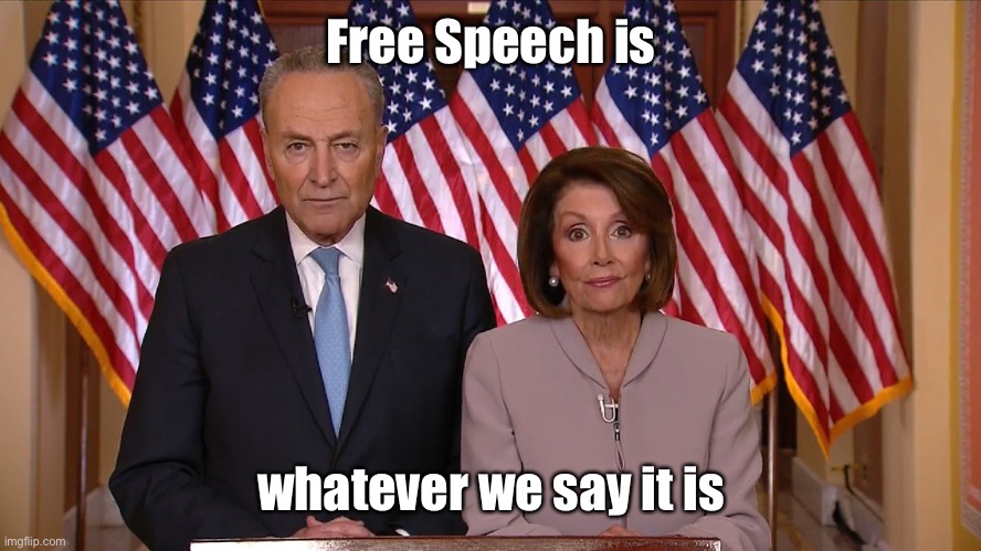 Chuck and Nancy | Free Speech is whatever we say it is | image tagged in chuck and nancy | made w/ Imgflip meme maker