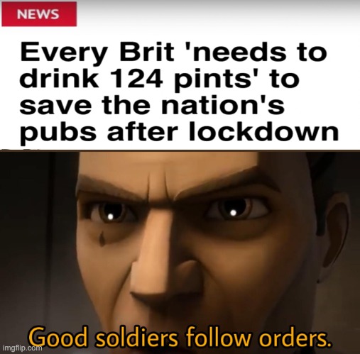 good soldiers follow orders | image tagged in good soldiers follow orders | made w/ Imgflip meme maker