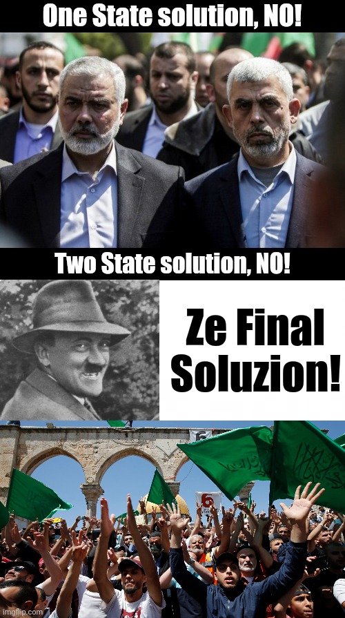 The one they want! | One State solution, NO! Two State solution, NO! Ze Final
Soluzion! | image tagged in hitler,palestine,israel,genocide,islam,judaism | made w/ Imgflip meme maker