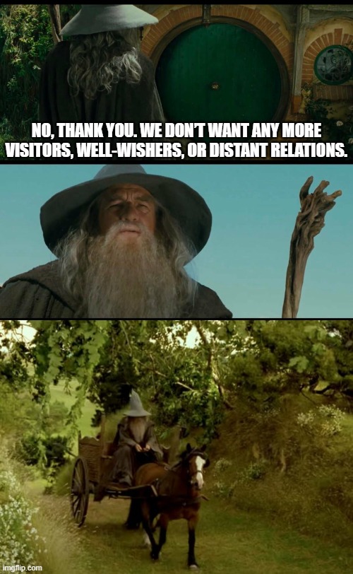 Go Away Gandalf! | NO, THANK YOU. WE DON’T WANT ANY MORE VISITORS, WELL-WISHERS, OR DISTANT RELATIONS. | image tagged in lotr,gandalf,no,lord of the rings,bilbo baggins | made w/ Imgflip meme maker