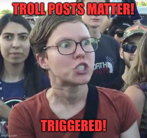 Triggered feminist | TROLL POSTS MATTER! TRIGGERED! | image tagged in triggered feminist | made w/ Imgflip meme maker