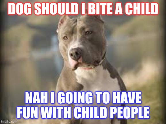 pitbull dog | DOG SHOULD I BITE A CHILD; NAH I GOING TO HAVE FUN WITH CHILD PEOPLE | image tagged in pitbull dog | made w/ Imgflip meme maker