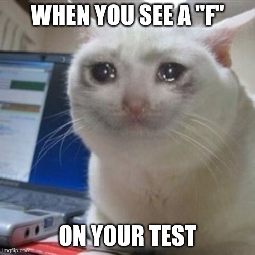 That's a failed test right there | WHEN YOU SEE A "F"; ON YOUR TEST | image tagged in crying cat,oh no,whyyy,task failed successfully,school,aww | made w/ Imgflip meme maker