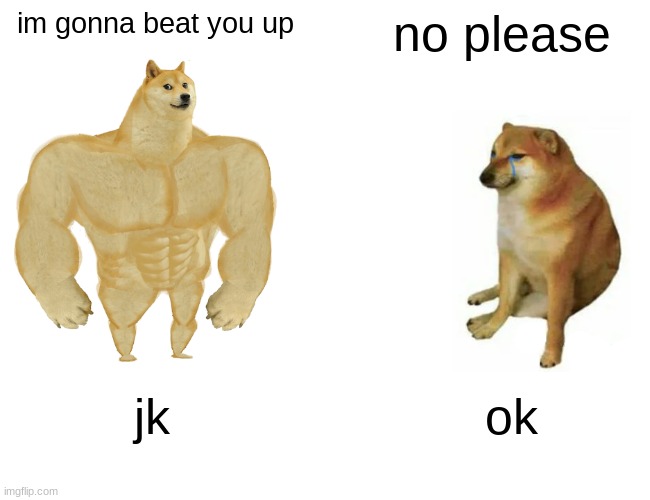 sad story | im gonna beat you up; no please; jk; ok | image tagged in memes,buff doge vs cheems | made w/ Imgflip meme maker