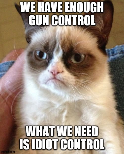 We have enough gun control | WE HAVE ENOUGH GUN CONTROL; WHAT WE NEED IS IDIOT CONTROL | image tagged in memes,grumpy cat | made w/ Imgflip meme maker