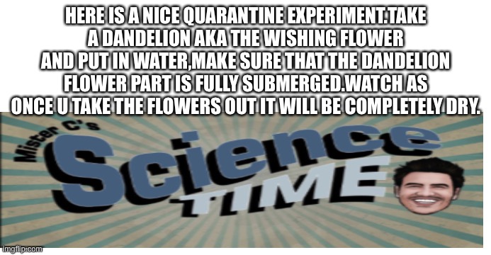 HERE IS A NICE QUARANTINE EXPERIMENT.TAKE A DANDELION AKA THE WISHING FLOWER AND PUT IN WATER,MAKE SURE THAT THE DANDELION FLOWER PART IS FULLY SUBMERGED.WATCH AS ONCE U TAKE THE FLOWERS OUT IT WILL BE COMPLETELY DRY. | image tagged in science,experiment,flower,dandelion,quarantine,cool | made w/ Imgflip meme maker