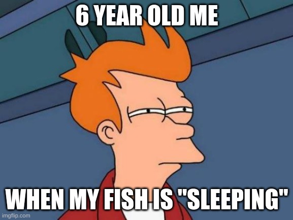 Futurama Fry | 6 YEAR OLD ME; WHEN MY FISH IS "SLEEPING" | image tagged in memes,futurama fry | made w/ Imgflip meme maker