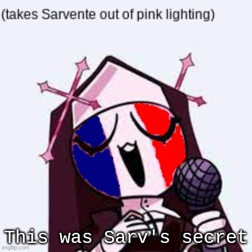 sarv is france flagge | This was Sarv's secret | image tagged in sarvente,france | made w/ Imgflip meme maker