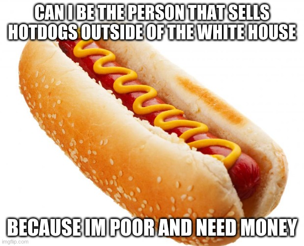 I NEED MONEY | CAN I BE THE PERSON THAT SELLS HOTDOGS OUTSIDE OF THE WHITE HOUSE; BECAUSE IM POOR AND NEED MONEY | image tagged in hotdog,money pls | made w/ Imgflip meme maker