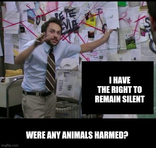 Trying to explain | I HAVE THE RIGHT TO REMAIN SILENT WERE ANY ANIMALS HARMED? | image tagged in trying to explain | made w/ Imgflip meme maker