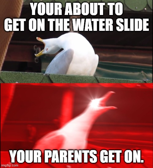 Screaming bird | YOUR ABOUT TO GET ON THE WATER SLIDE; YOUR PARENTS GET ON. | image tagged in screaming bird | made w/ Imgflip meme maker