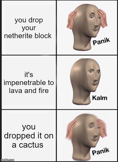 Panik Kalm Panik | you drop your netherite block; it's impenetrable to lava and fire; you dropped it on a cactus | image tagged in memes,panik kalm panik | made w/ Imgflip meme maker