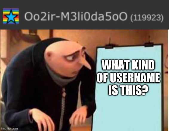 WHAT KIND OF USERNAME IS THIS? | image tagged in memes,gru's plan | made w/ Imgflip meme maker