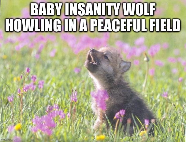 Baby Insanity Wolf Meme | BABY INSANITY WOLF HOWLING IN A PEACEFUL FIELD | image tagged in memes,baby insanity wolf | made w/ Imgflip meme maker