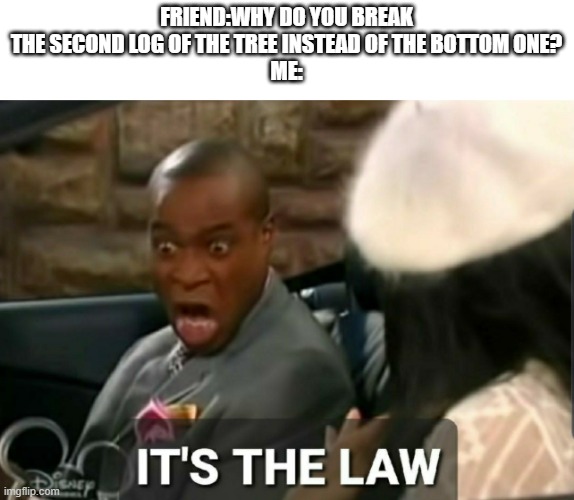 It's the law | FRIEND:WHY DO YOU BREAK THE SECOND LOG OF THE TREE INSTEAD OF THE BOTTOM ONE?
ME: | image tagged in it's the law | made w/ Imgflip meme maker