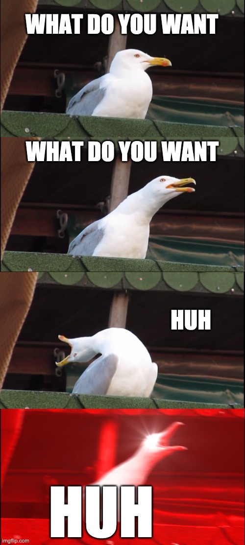 huh | WHAT DO YOU WANT; WHAT DO YOU WANT; HUH; HUH | image tagged in memes,inhaling seagull | made w/ Imgflip meme maker