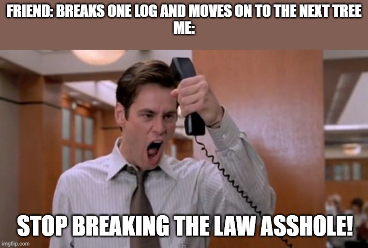 Stop breaking the law asshole | FRIEND: BREAKS ONE LOG AND MOVES ON TO THE NEXT TREE
ME:; STOP BREAKING THE LAW ASSHOLE! | image tagged in stop breaking the law asshole | made w/ Imgflip meme maker