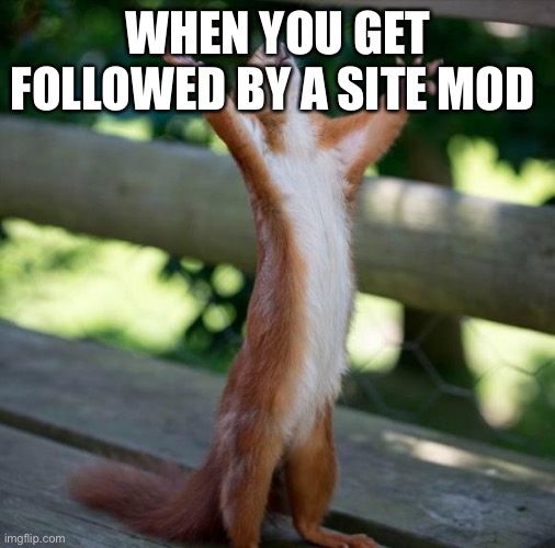 Kate followed me | WHEN YOU GET FOLLOWED BY A SITE MOD | image tagged in finally | made w/ Imgflip meme maker