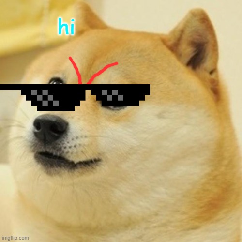 mlg doge | hi | image tagged in memes,doge | made w/ Imgflip meme maker
