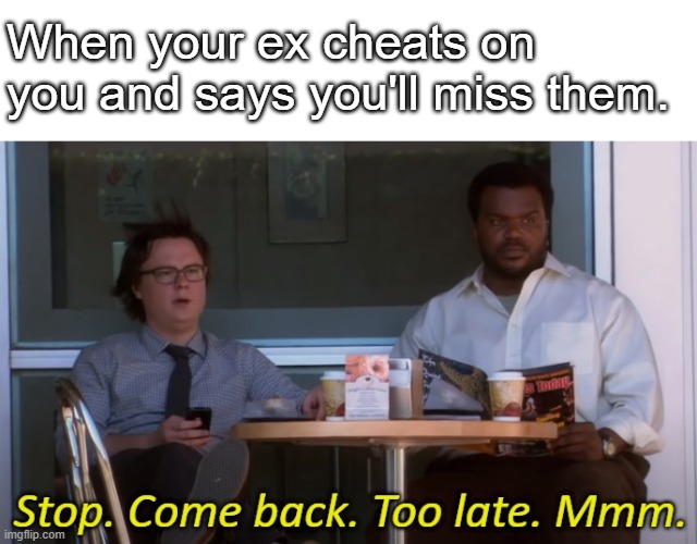 The Office Stop. Come Back. | When your ex cheats on you and says you'll miss them. | image tagged in the office stop come back | made w/ Imgflip meme maker