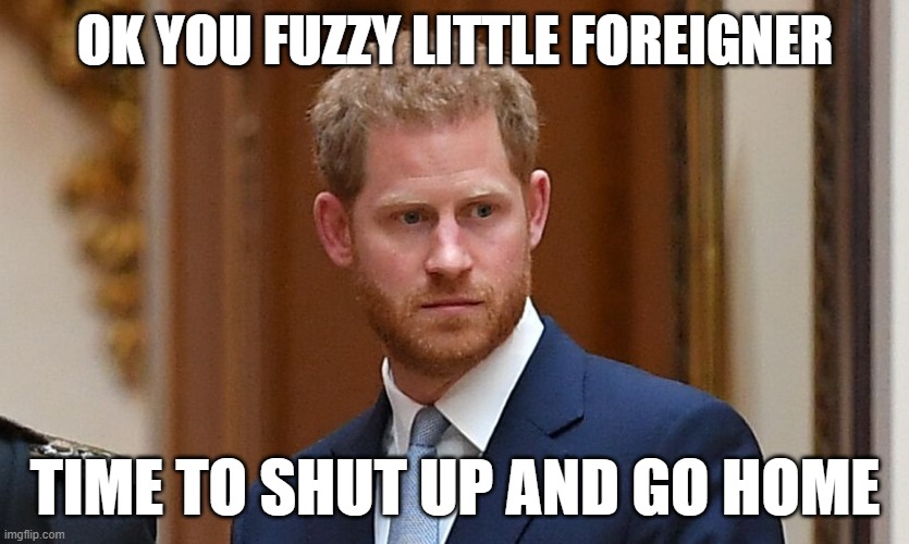Prince Harry | OK YOU FUZZY LITTLE FOREIGNER; TIME TO SHUT UP AND GO HOME | image tagged in prince harry | made w/ Imgflip meme maker