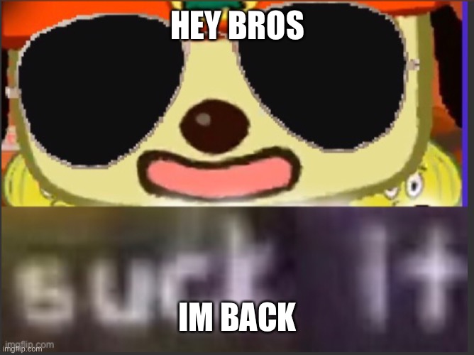 I was gone for a bit | HEY BROS; IM BACK | made w/ Imgflip meme maker