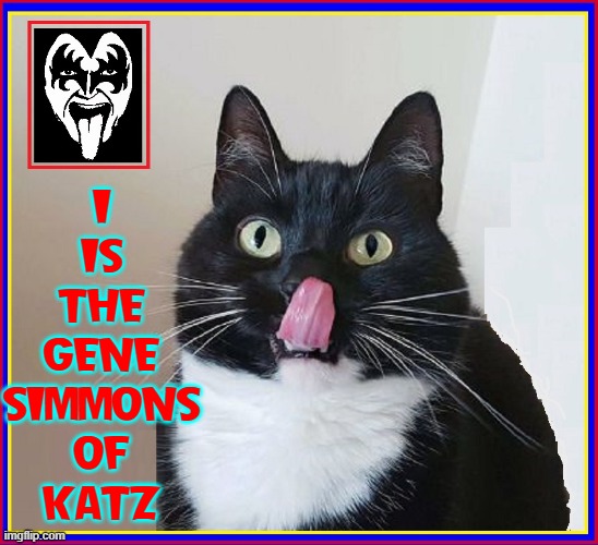 KISS Owes the Cat Royalties | I
IS
THE
GENE
SIMMONS
OF
KATZ | image tagged in vince vance,gene simmons,cats,tongue,kiss,memes | made w/ Imgflip meme maker