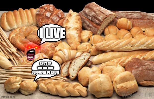 bread |  I LIVE; SHUT UP THEYRE NOT SUPPOSED TO KNOW | image tagged in bread | made w/ Imgflip meme maker