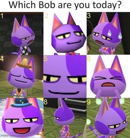 bob | image tagged in bob,is,our,god | made w/ Imgflip meme maker