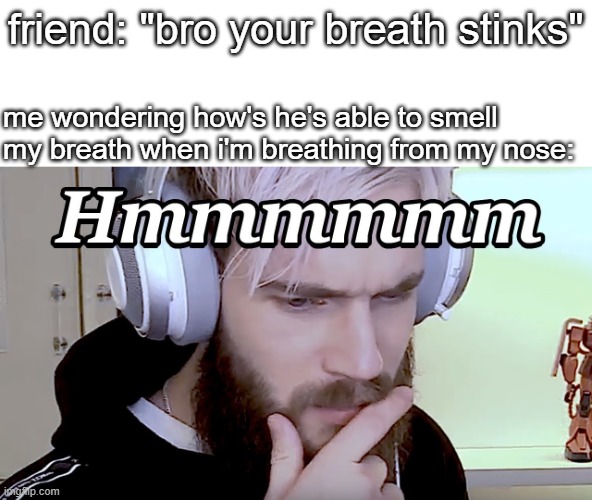 friend: "bro your breath stinks"; me wondering how's he's able to smell my breath when i'm breathing from my nose: | image tagged in funny memes | made w/ Imgflip meme maker