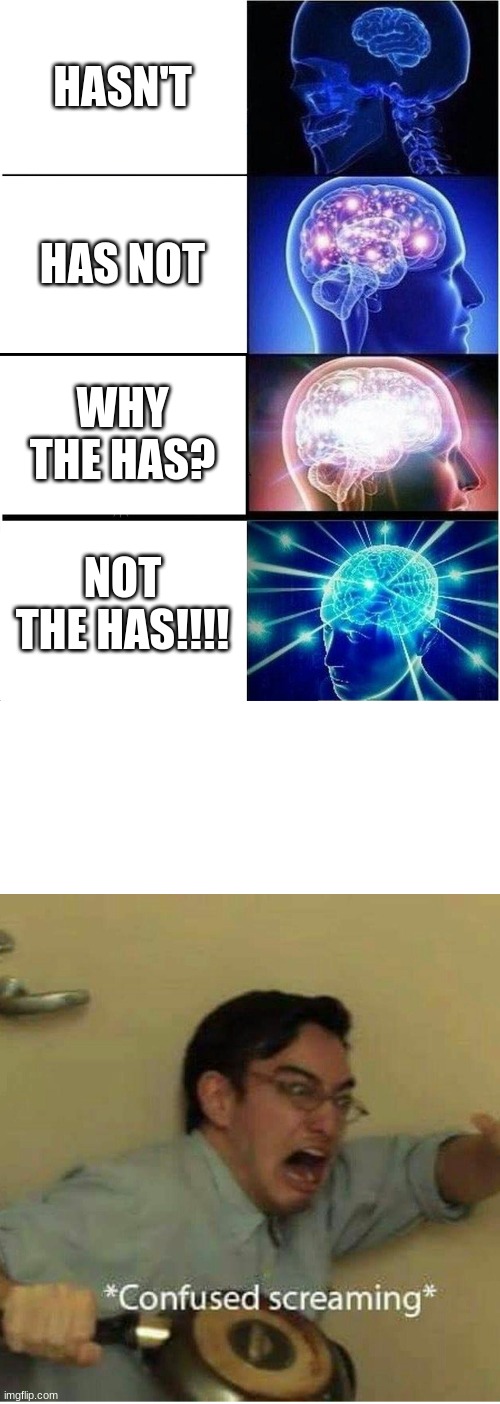 HASN'T; HAS NOT; WHY THE HAS? NOT THE HAS!!!! | image tagged in memes,expanding brain,confused screaming | made w/ Imgflip meme maker
