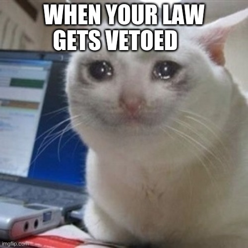 Crying cat | WHEN YOUR LAW GETS VETOED | image tagged in crying cat | made w/ Imgflip meme maker