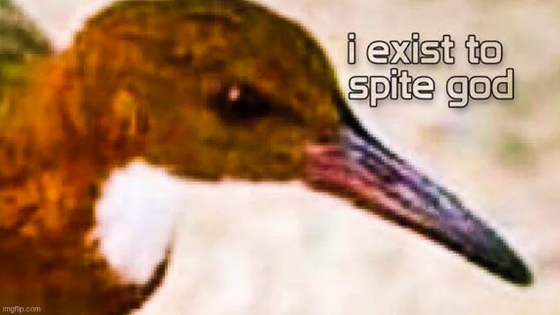 I exist to spite god | image tagged in i exist to spite god | made w/ Imgflip meme maker