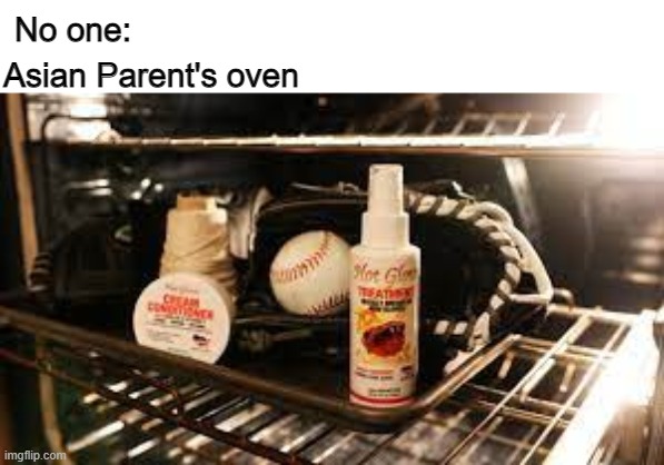 "There is always some extra room the oven!" | Asian Parent's oven; No one: | image tagged in asian parents,meme,fun,stop reading the tags | made w/ Imgflip meme maker