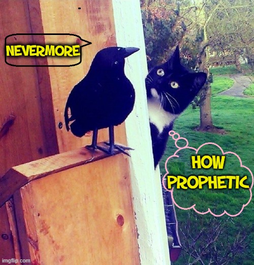 Quothe The Cat, "Never More Delicious." | NEVERMORE; HOW PROPHETIC | image tagged in vince vance,cats,the raven,poe,funny cat memes,nevermore | made w/ Imgflip meme maker