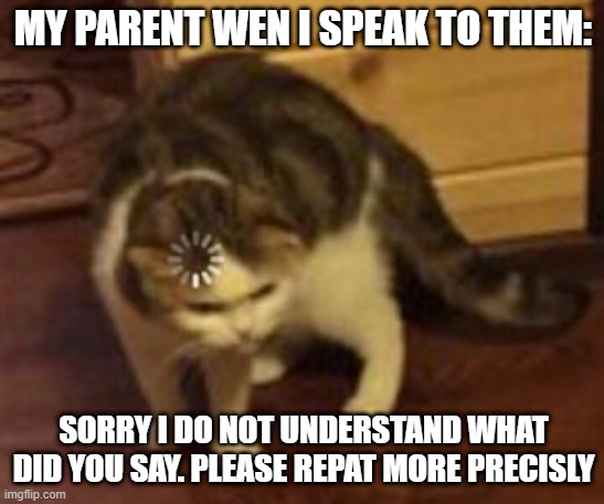 its hapend som times | MY PARENT WEN I SPEAK TO THEM:; SORRY I DO NOT UNDERSTAND WHAT DID YOU SAY. PLEASE REPAT MORE PRECISLY | image tagged in loading cat | made w/ Imgflip meme maker