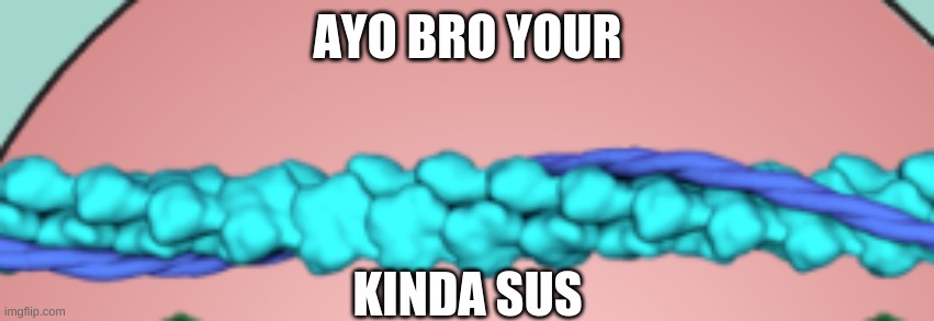 Science meme (look at the template name} | AYO BRO YOUR; KINDA SUS | image tagged in actin | made w/ Imgflip meme maker