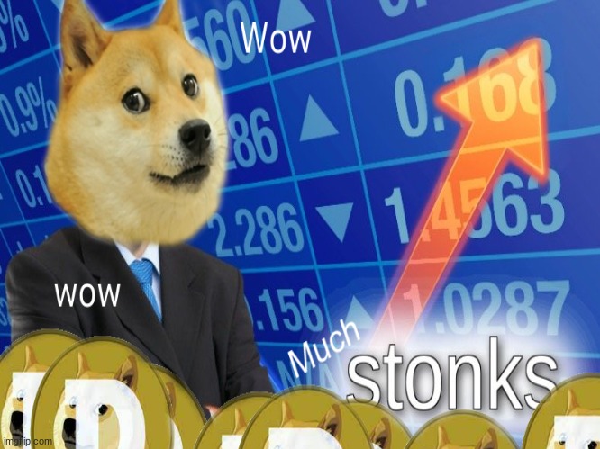 Doge coin be like : | image tagged in doge,stonks,money,wow,memes,funny memes | made w/ Imgflip meme maker