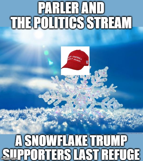 But we won, it was stolen, socialism, constitution, wha wha wha | PARLER AND THE POLITICS STREAM; A SNOWFLAKE TRUMP SUPPORTERS LAST REFUGE | image tagged in snowflake,memes,maga,donald trump is an idiot,politics | made w/ Imgflip meme maker