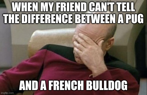 Woof-M-L! | WHEN MY FRIEND CAN'T TELL THE DIFFERENCE BETWEEN A PUG; AND A FRENCH BULLDOG | image tagged in memes,captain picard facepalm,dogs,pug,french bulldog,not a true story | made w/ Imgflip meme maker