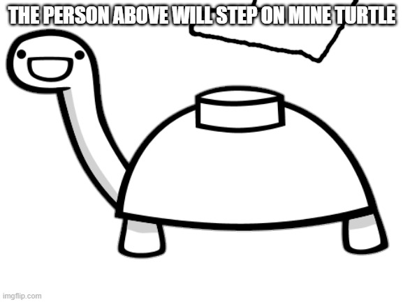 Mine Turtle | THE PERSON ABOVE WILL STEP ON MINE TURTLE | image tagged in mine turtle | made w/ Imgflip meme maker