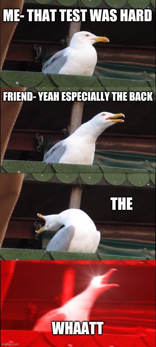 Inhaling Seagull Meme | ME- THAT TEST WAS HARD; FRIEND- YEAH ESPECIALLY THE BACK; THE; WHAATT | image tagged in memes,inhaling seagull | made w/ Imgflip meme maker