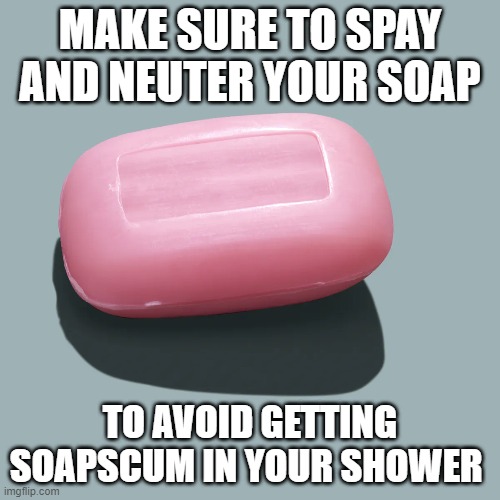 MAKE SURE TO SPAY AND NEUTER YOUR SOAP; TO AVOID GETTING SOAPSCUM IN YOUR SHOWER | image tagged in memes | made w/ Imgflip meme maker