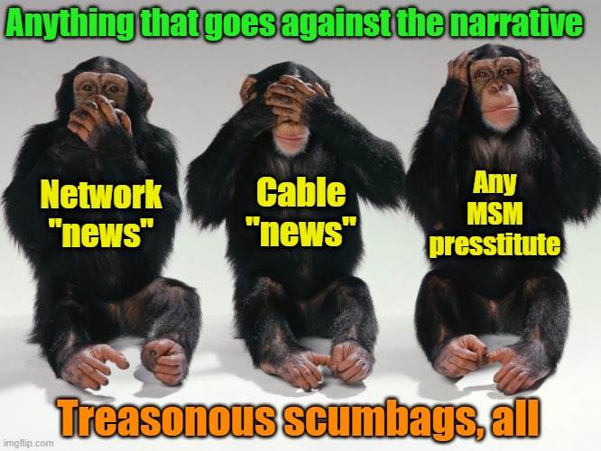 Scumbags | Anything that goes against the narrative; Any MSM presstitute; Cable "news"; Network "news"; Treasonous scumbags, all | image tagged in cnn fake news,election 2020,donald trump,maga | made w/ Imgflip meme maker