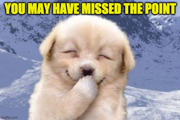 Laughing dog | YOU MAY HAVE MISSED THE POINT | image tagged in laughing dog | made w/ Imgflip meme maker